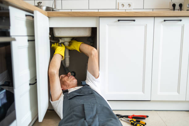 Best Affordable Plumbing Services  in Del Norte, CO